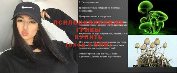круглые Краснослободск