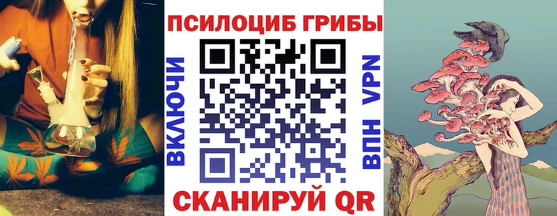 Галлюциногенные грибы прущие грибы  где найти наркотики  Мытищи 