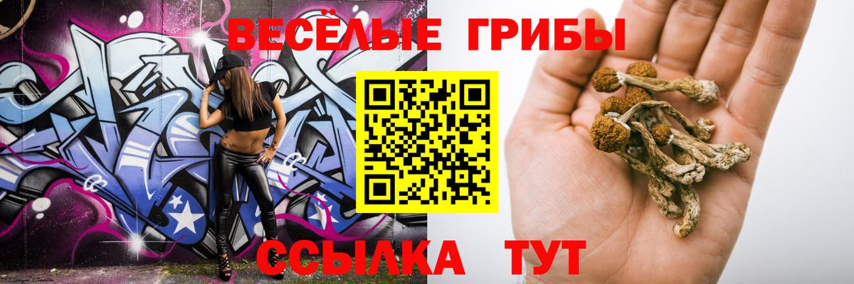 Псилоцибиновые грибы GOLDEN TEACHER Мытищи