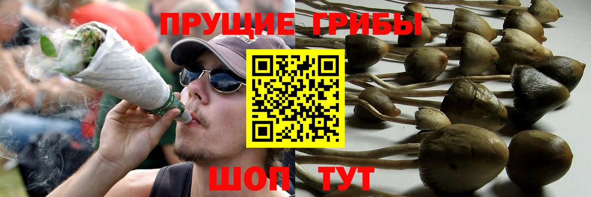 Псилоцибиновые грибы мухоморы  Вход с VPN  Мытищи 