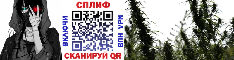 Марихуана VHQ  mega онион  Мытищи  что такое наркотик 